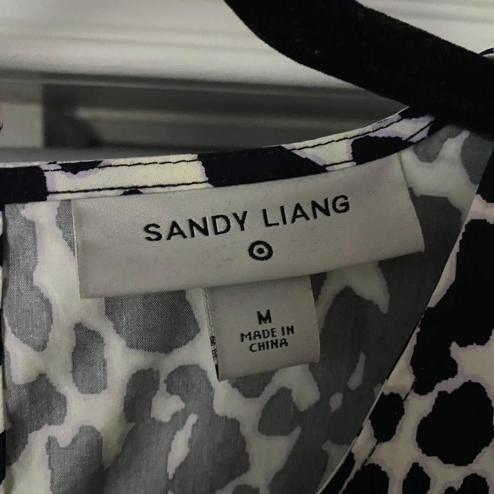 Target Sandy Liang Animal Print Dress